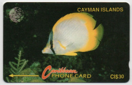 Cayman Islands - Yellow Fish - 5CCIB - Iles Cayman