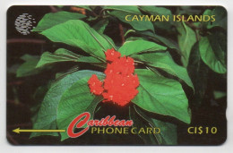 Cayman Islands - Broadleaf Flower - 94CCIB (small, Curved Font) - Kaaimaneilanden