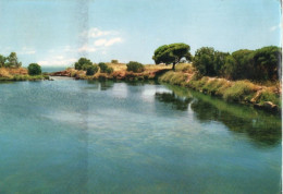 MARSALA - ISOLA DI MOTYA - IL PORTO -  F.G. - Marsala