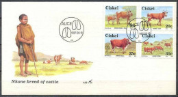 Ciskei 1987, Nkone Breed Of Cattle, FDC - Ciskei