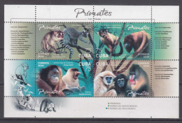 Cuba 2020 Animals Monkeys, Mint Never Hinged Block - Ongebruikt