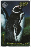 Falkland Islands - Jackass Penguin - 1CWFB - Falkland