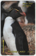 Falkland Islands - Rockhopper Penguin - 1CWFA - Falkland Islands