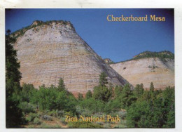AK 135567 USA - Utah - Zion National Park - Checkerboard Mesa - Zion