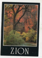 AK 135570 USA - Utah - Zion - Zion