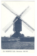 Neerpelt.   -  Heerstraat   -   Molen - Neerpelt