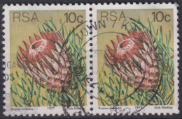 1977 RSA, Mi:ZA 521A, Sn:ZA 484, Yt:ZA 425, Ladismith Sugarbush (Protea Aristata) - Used Stamps