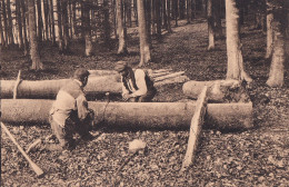 CP AUDERGHEM OUDERGEM  Environs Des Quatre Bras Bucheron  Ligue Amis De La Forêt De Soignes Bvd Souverain 190 - Oudergem - Auderghem