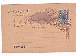 AMERIQUE - BRESIL - BRAZIL - Entier Postal Brésil Brazil (non Voyagé) 50 Reis - Storia Postale