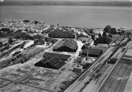 Paimboeuf * Vue Aérienne Sur La Scierie HAILAUST Et GUTZET * Usine Bois - Paimboeuf