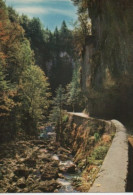 LE VERCORS - ROUTE DE VILLARD DE LANS - PONT EN ROYANS - F.G. - Vercors