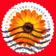 USA - STATI UNITI - Usato - 2022 - Fiori - Francobolli In Tondo - Margherita - African Daisy - GLOBAL FOREVER - Oblitérés