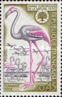 France 1970 - One European Nature Conservation Year Environment Fauna Bird Animals Flamingo Birds Stamp MNH - Flamants