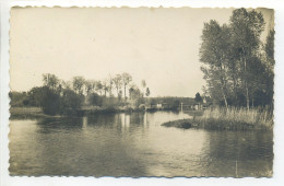 CPA 72 Sarthe LUCHÉ - Vue Sur Le Loir - Peu Commune - Luche Pringe