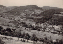 FRANCE - 88 - PLAINFAING - Vue Générale - Edition Chaunavel André - Carte Postale Ancienne - Plainfaing