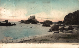 N°104238 -old Card -Seal Rocks Seaside- - Altri & Non Classificati