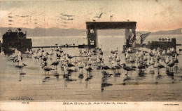 N°104243 -old Card -Sea Gulls Astoria- - Andere & Zonder Classificatie