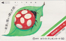Rare Télécarte JAPON / 110-011 - ANIMAL - COCCINELLE - LADYBIRD JAPAN Phonecard - MARIENKÄFER - 62 - Ladybugs