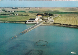 85, Beauvoir Sur Mer, Vue Aérienne, L'Entrée Du Gois - Beauvoir Sur Mer