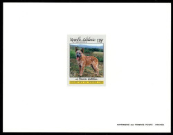 NEW CALEDONIA(1992) Australina Bouvier. Deluxe Sheet. Scott No C237, Yvert No PA288. - Non Dentelés, épreuves & Variétés