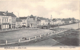 BELGIQUE - WILLEBROECK - Allée Verte - Edit Thomas Baggerman - Carte Postale Ancienne - Willebrök