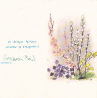 FLOWERS, BUDS, LUXURY TELEGRAM, TELEGRAPH, 1988, ROMANIA - Telegraphenmarken