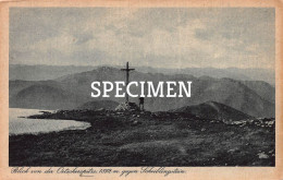 Blick Von Der Oetscherspitze 1892 Gegen Scheiblingstein - Lunz Am See