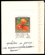 HUNGARY(1986) Apricots. Special Perforated Proof Mounted On Card With Official Stamp And Signature. Scott No 3007 - Essais, épreuves & Réimpressions