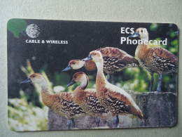 ANTIGUA AND BARBUDA  USED CARDS  BIRD BIRDS - Antigua E Barbuda