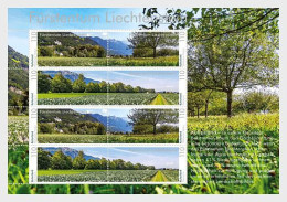 Liechtenstein - Postfris / MNH - Sheet Panorama 2023 - Unused Stamps