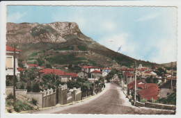 LA VALETTE DU VAR - VAR - ENTREE DE LA VILLE - DANS LE FOND LE COUDON - La Valette Du Var