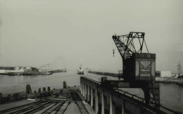 Reproduction - Scène Portuaire à Situer - Août 1956 - Bateaux