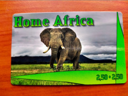 Germany - Home Africa - Elephant - Other & Unclassified