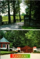 Kentucky Horse Farms Split View - Louisville