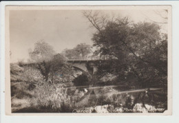 CARCES - VAR - LE PONT DU CARAMY - Carces