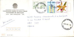 BRESIL AFFRANCHISSEMENT COMPOSE SUR LETTRE  POUR LA FRANCE 1981 - Covers & Documents