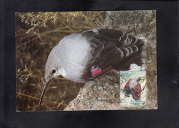 REPUBLIC OF MACEDONIA, CARTE MAXIMUM, MICHEL 333 - BIRDS-Tichodroma Muraria + - Climbing Birds