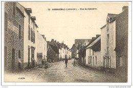 44 - HERBIGNAC (Loire-Inf.) - Rue Du Calvaire - Ed. F. Chapeau N° 20 - Herbignac