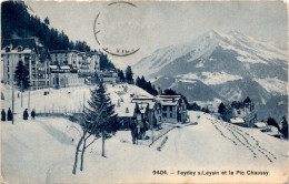 Feydey S/Leysin Et Le Pic Chaussy (9404) * 2. 11. 1908 - Fey