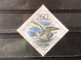 Russia / Rusland - Birds (250) 1993 - Used Stamps