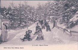 Sport D'hiver, Descente En Luges (3170) - Sports D'hiver