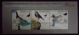 SL) 1994 HOLLAND BIRDS WILDLIFE SOUVENIR MNH - Altri & Non Classificati