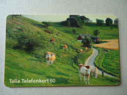 SWEDEN  USED CARDS ANIMALS COWS - Kühe