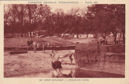 CPA  PARIS 75 - Exposition Coloniale 1931 - L'enclos Des Zébres - Zebras