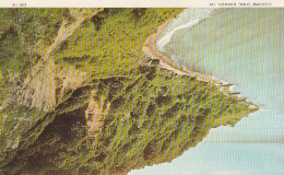 Luccombe Chine, Shanklin IOW  - Unused Postcard - UK7 - Shanklin