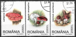 C3917 - Roumanie 2003 - Champignons 3v.obliteres - Used Stamps