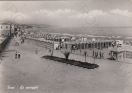 CARTOLINA  FANO,MARCHE-LA SPIAGGIA-MARE,SOLE,ESTATE,VACANZA,LUNGOMARE,BARCHE A VELA,BELLA ITALIA,VIAGGIATA 1953 - Fano