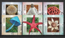 C3934 - Roumanie 2021 - Champignons 6v.obliteres - Used Stamps