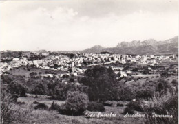 ARZACHENA - OLBIA TEMPIO - SASSARI - COSTA SMERALDA - PANORAMA - 1971 - Olbia