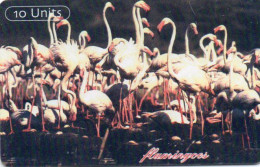 TANZANIA - CHIP CARD - ANIMAL - FLAMINGOS - REVERSE C - Tanzanie